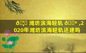 🦊 潍坊滨海轻轨 🌺 ,2020年潍坊滨海轻轨还建吗